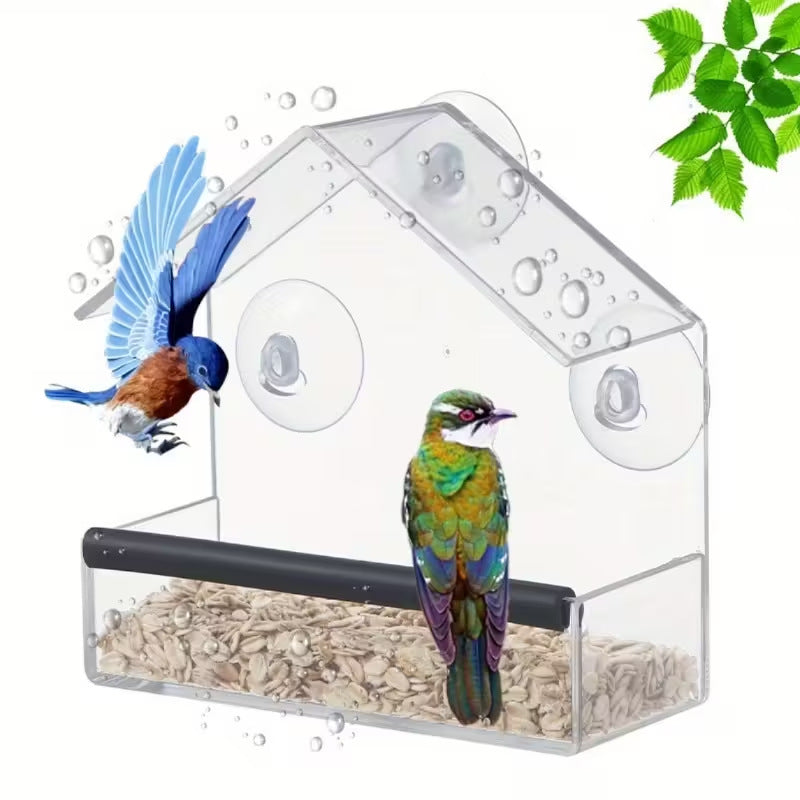 Window Hummingbird Feeder for Close-Up Birdwatching