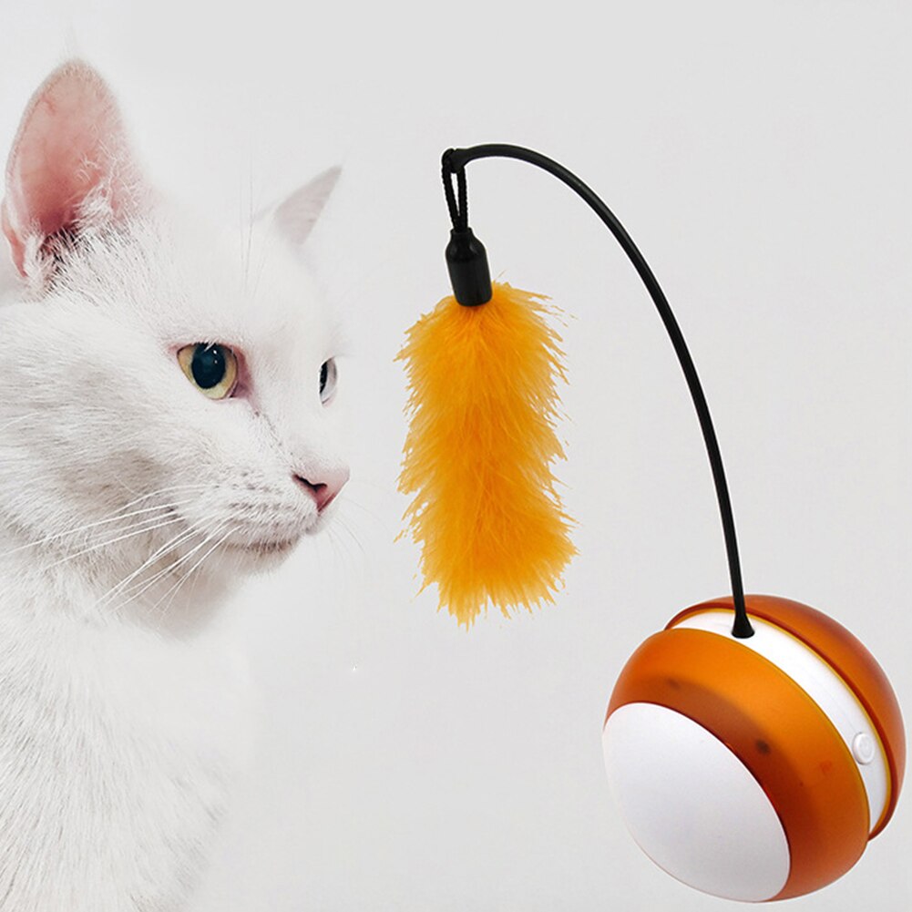 Interactive Rolling Cat Toy for Indoor Daily Exercise