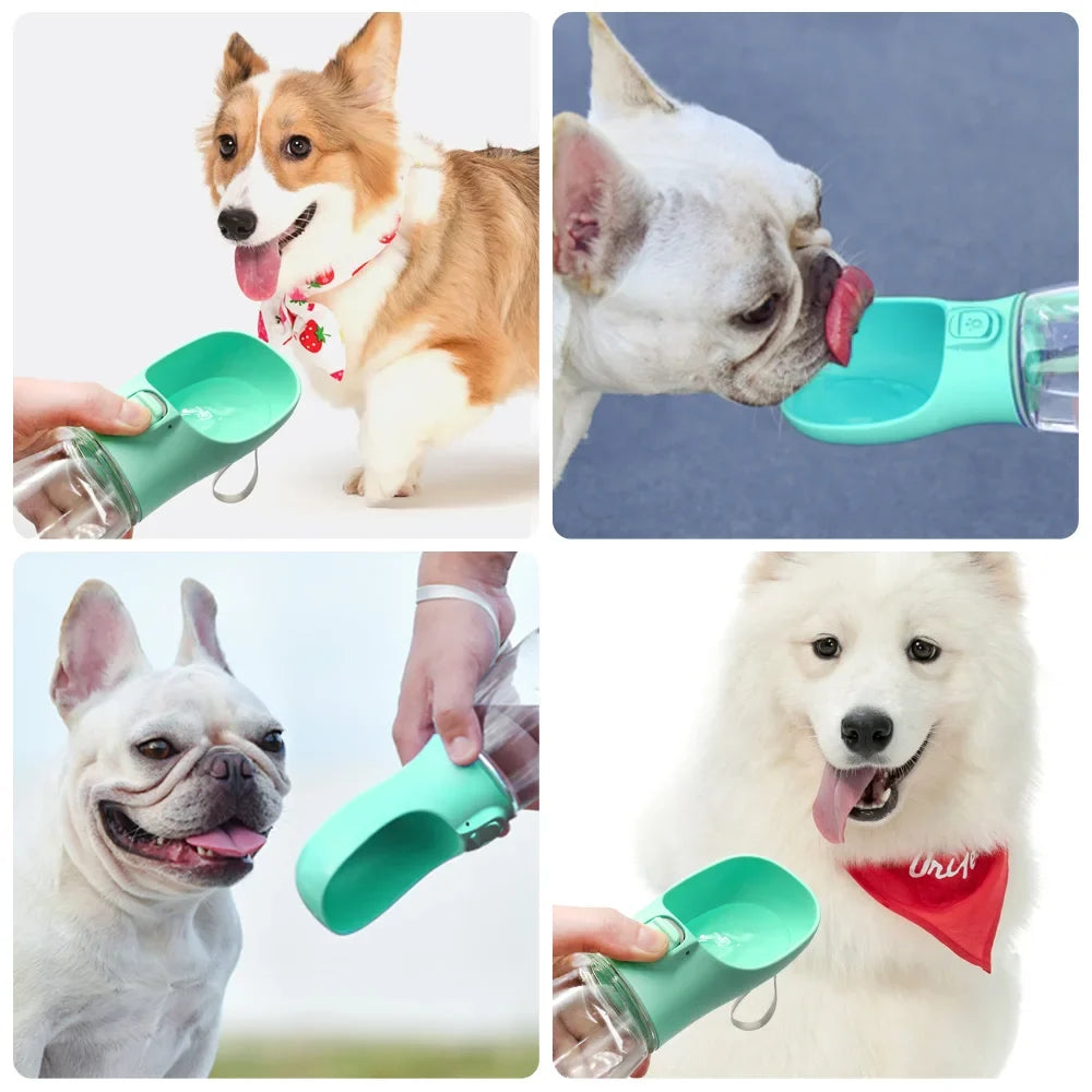 Portable Dog Water Bottle for Walks, Hikes & Travel