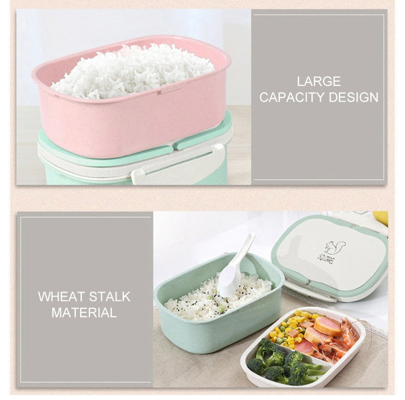 Two-Layer Bento Lunch Box for Neat, Compact Meal Prep