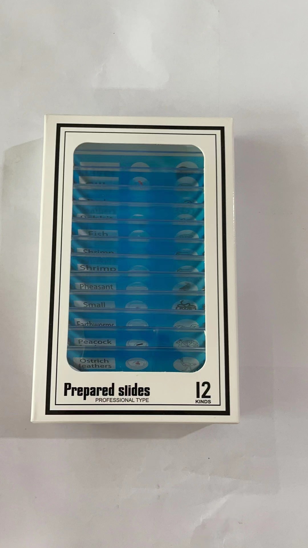 Kids Handheld Microscope for 1000X Science Discovery