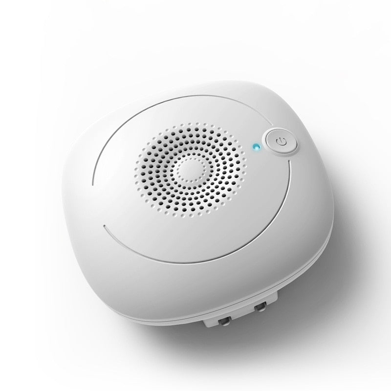 Portable Ozone Air Purifier That Helps Reduce Home Odours