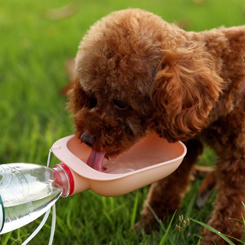 Portable Pet Water Bottle Bowl for Fresh Water Anywhere
