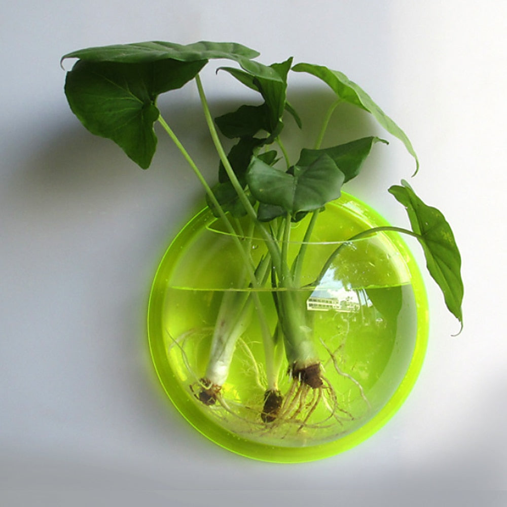 Wall-Mounted Aquarium Bowl for Small-Space Home Décor