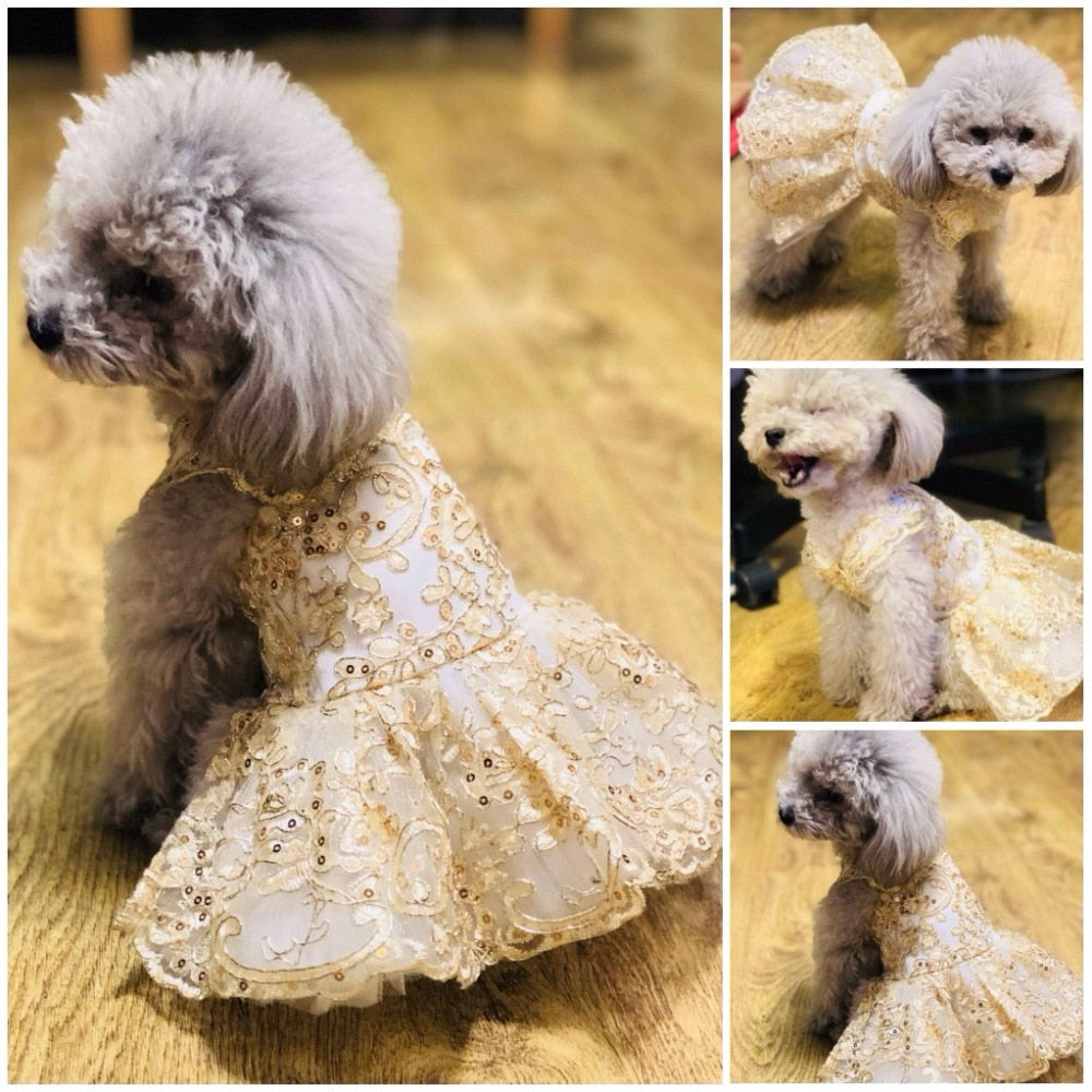 Small Pet Wedding Dress With Embroidered Princess Tutu