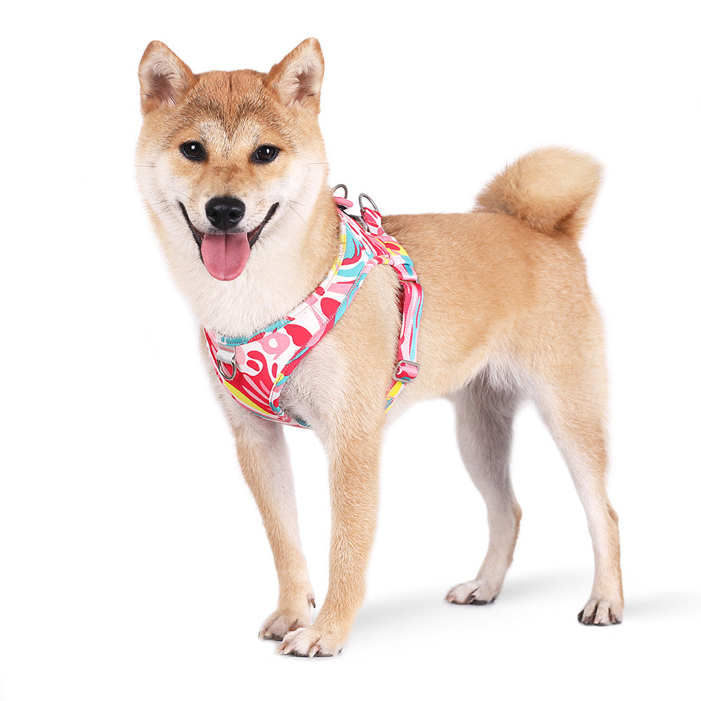 Dog Chest Harness and Leash Set for Secure Daily Walks