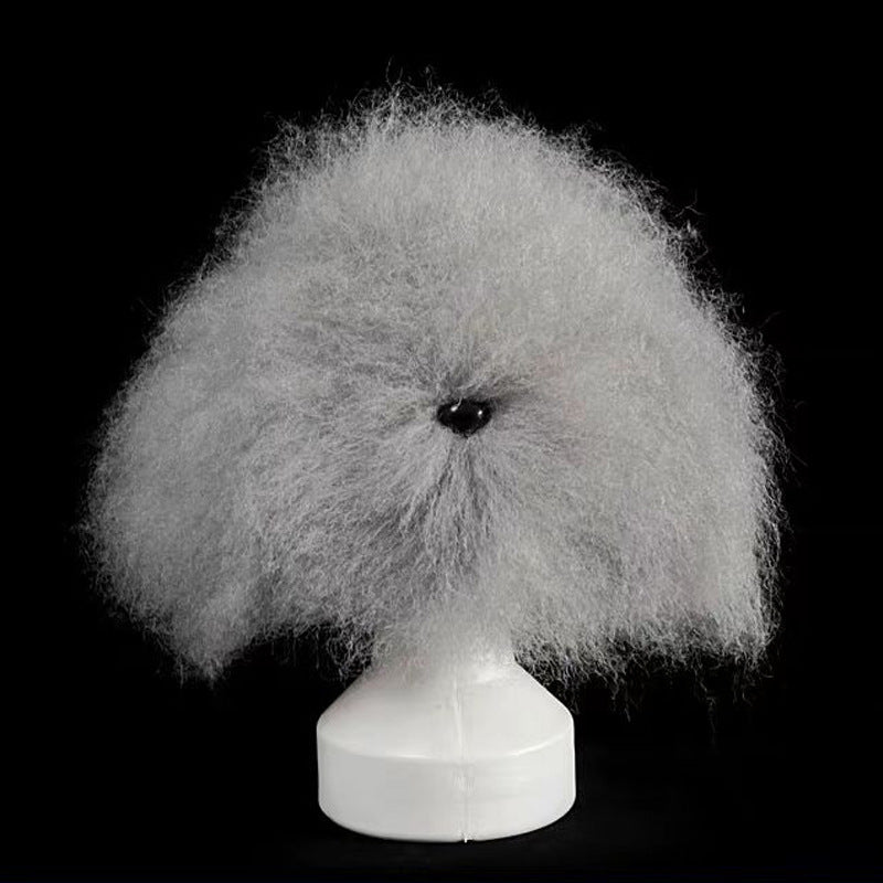 Dog Grooming Training Head for Fur Styling Practice