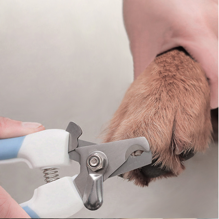 Dog Nail Clippers for Controlled, Low-Effort Grooming