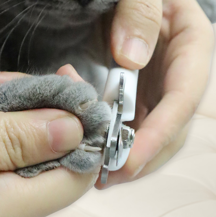 Dog Nail Clippers for Controlled, Low-Effort Grooming