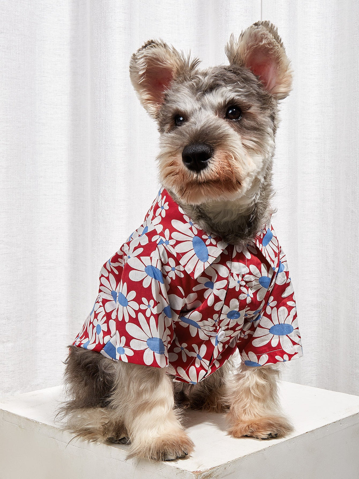 Small Dog Floral Shirt for Lightweight Spring Coverage