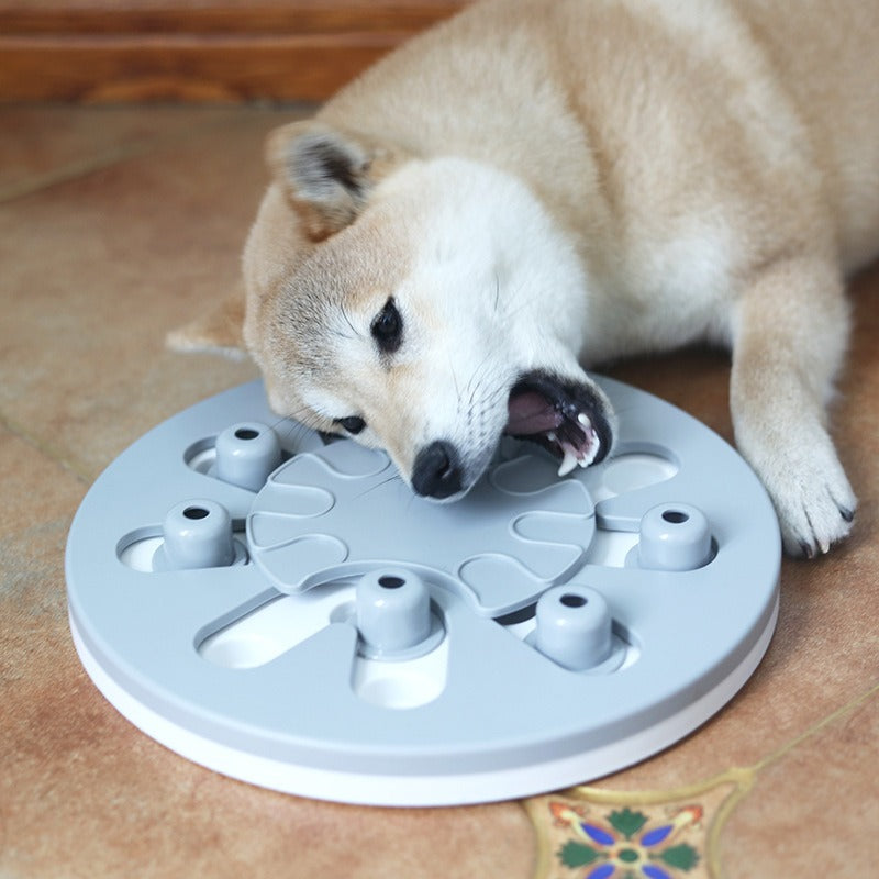 Dog Puzzle Toy for Slower, Smarter Daily Mealtimes