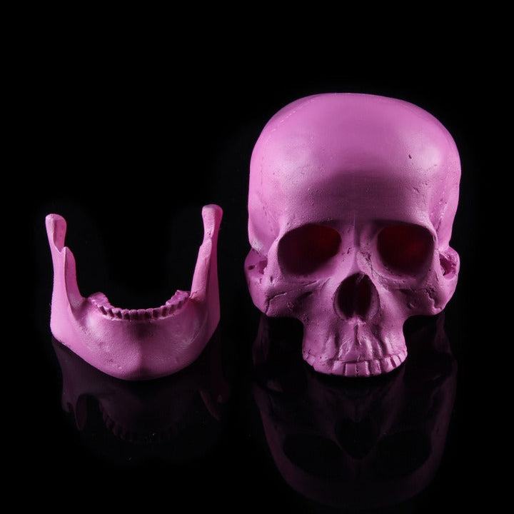 Purple Anatomical Skull Ornament for Gothic Decor