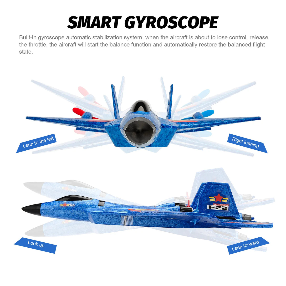 RC F22 Raptor Airplane With Night Flight LED Lights
