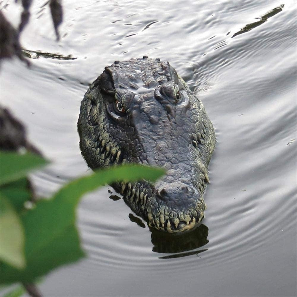 RC Crocodile Boat for Realistic Outdoor Water Play
