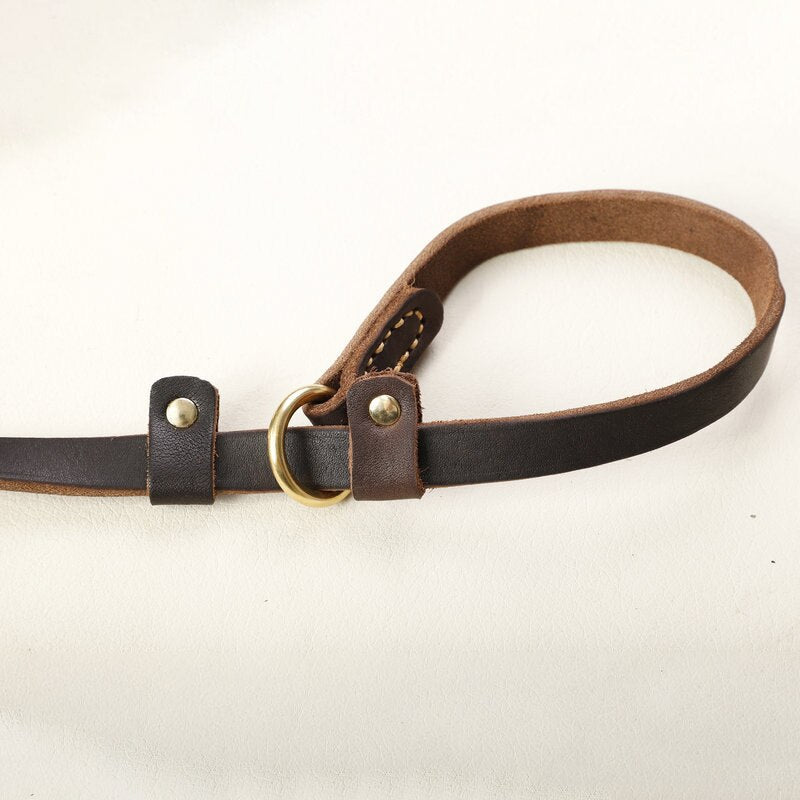 Leather Slip Dog Leash Collar | Streamlined Control