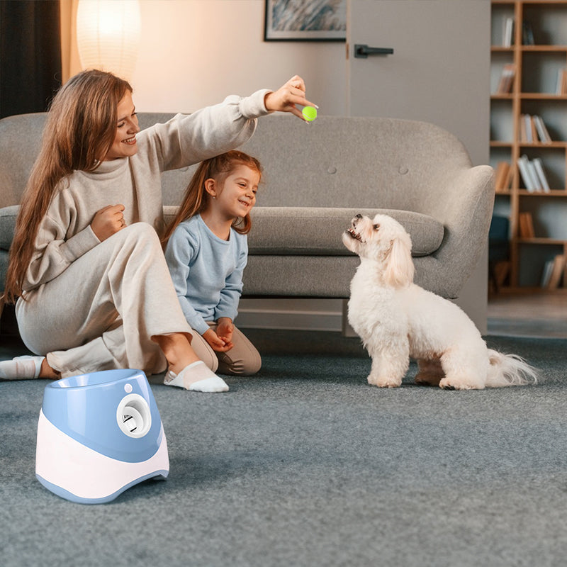 Automatic Tennis Ball Launcher for Pets | Active Fetch