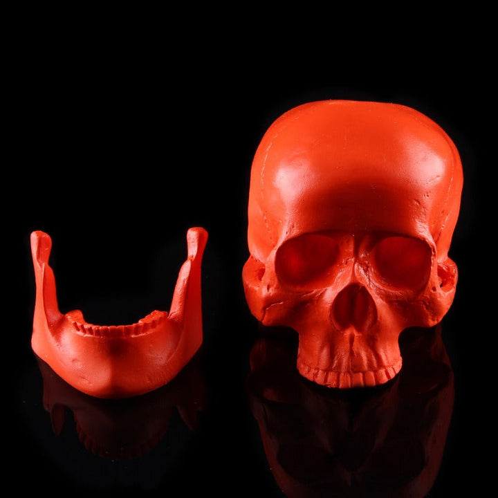 Red Anatomical Skull Ornament for Gothic Home Decor