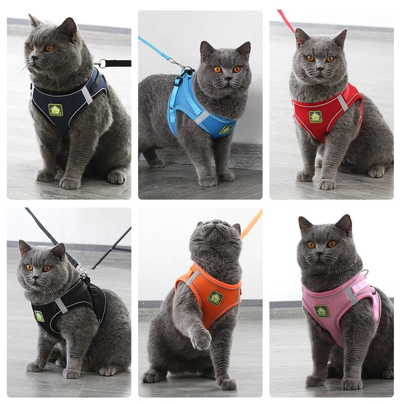Reflective Cat Harness Leash Set for Safer Outdoor Walks