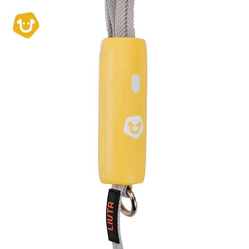 Reflective Elastic Dog Leash for Safer Evening Walks
