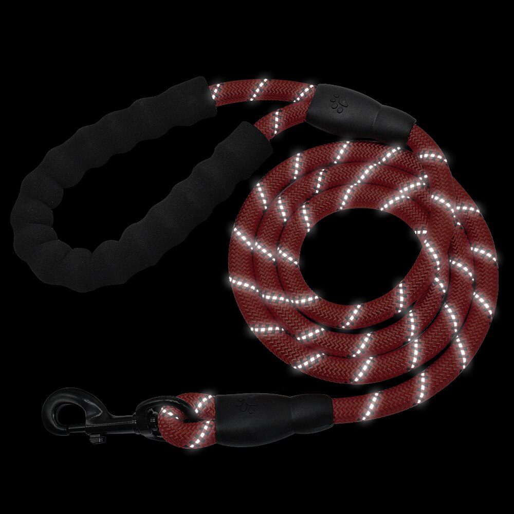 Reflective Dog Leash with Padded Handle for Safer Walks