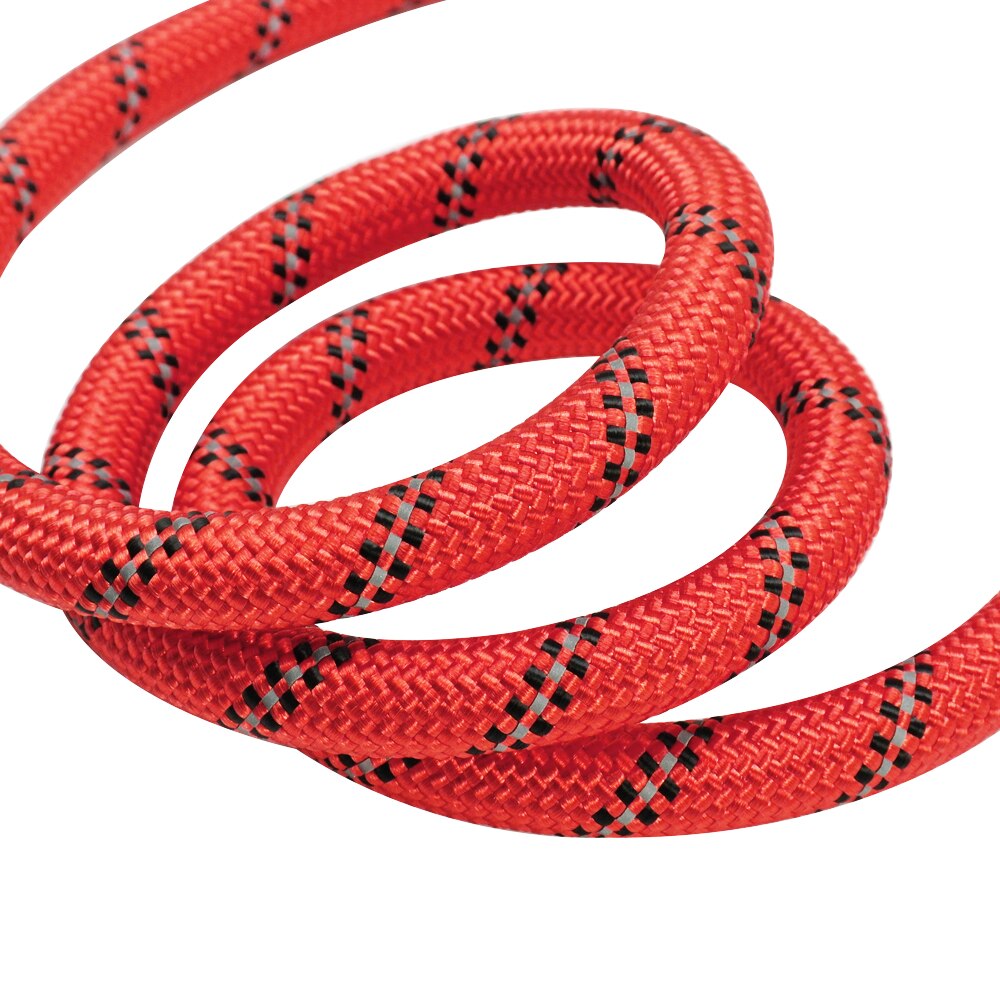 Reflective Dog Leash with Padded Handle for Safer Walks