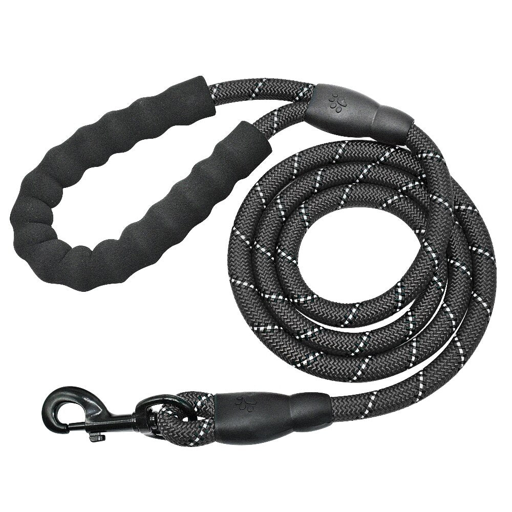 Reflective Dog Leash with Padded Handle for Safer Walks
