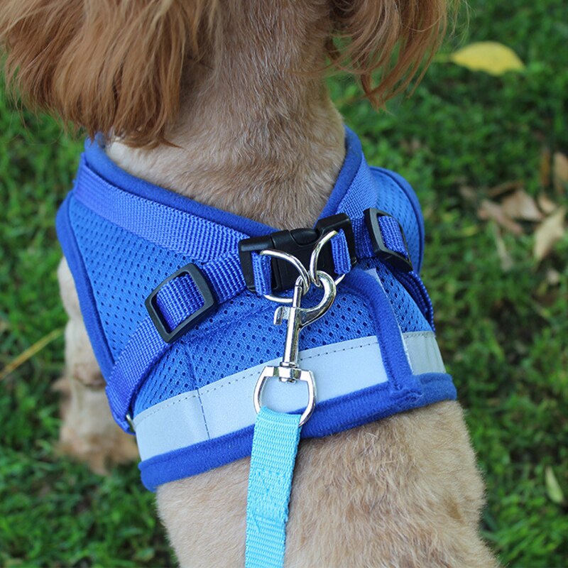 Reflective Dog Harness and Leash Set for Safer Walks