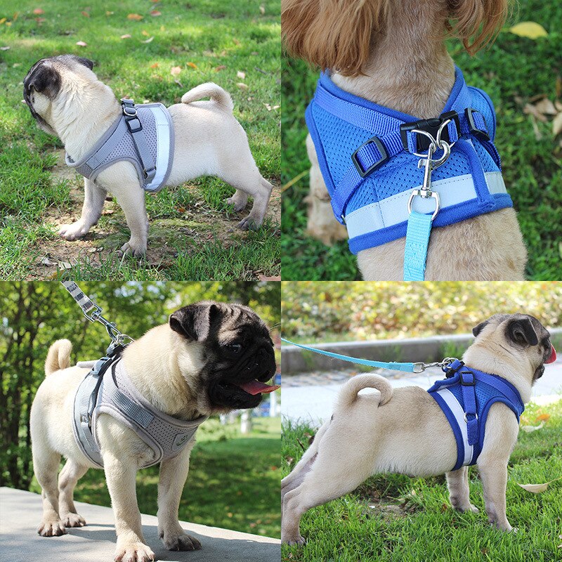Reflective Dog Harness and Leash Set for Safer Walks