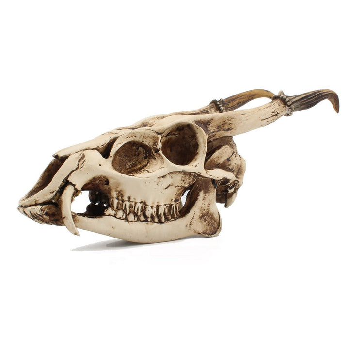Resin Goat Skull Ornament for Gothic Display Decor