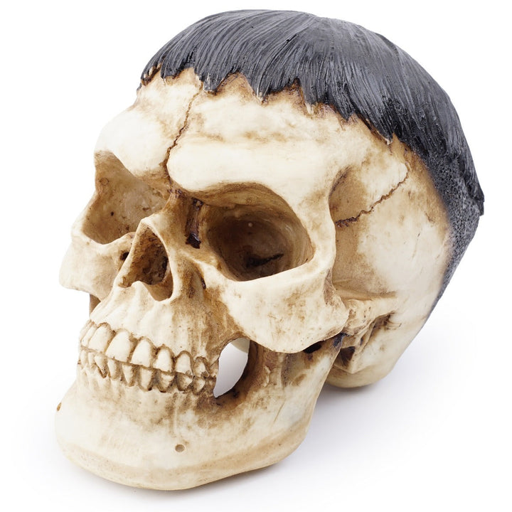 Resin Skull Ornament for Dramatic Gothic Home Decor