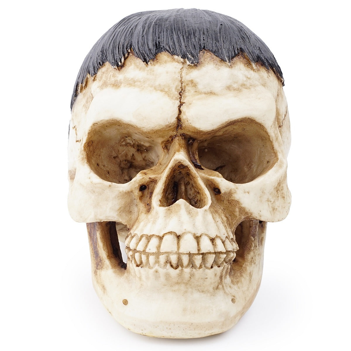 Resin Skull Ornament for Dramatic Gothic Home Decor