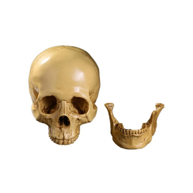 Resin Skull Bar Decor for Dramatic Gothic Displays