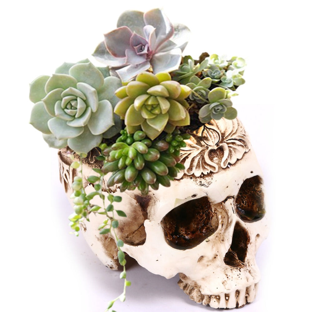Skull Head Flower Pot for Dramatic Succulent Decor