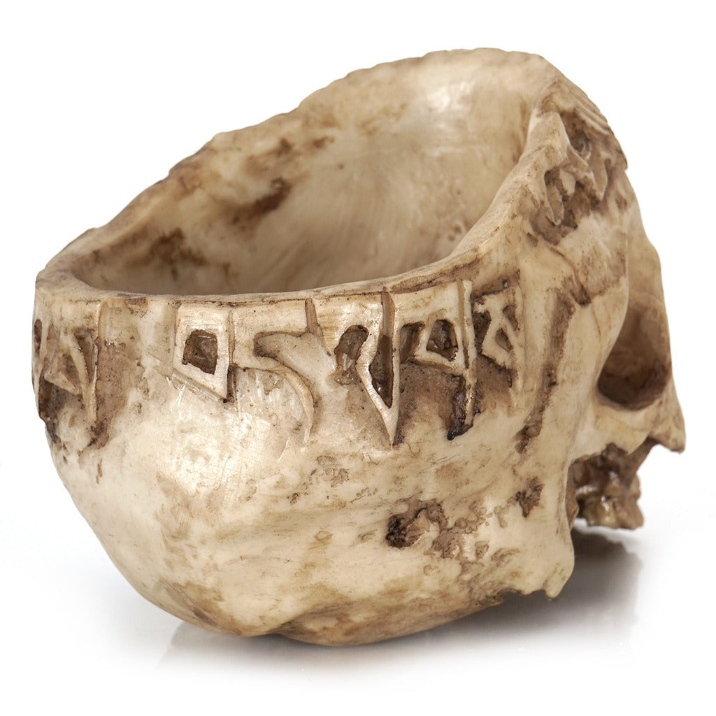 Skull Head Flower Pot for Dramatic Succulent Decor