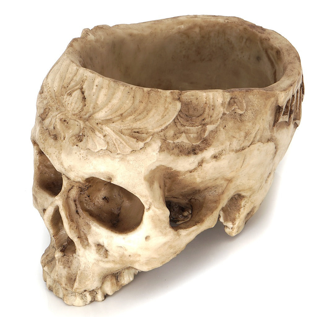Skull Head Flower Pot for Dramatic Succulent Decor