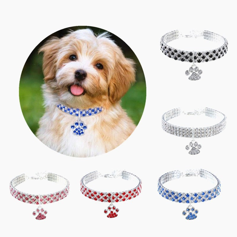 Rhinestone Dog Collar With Paw Charm for Small Pets