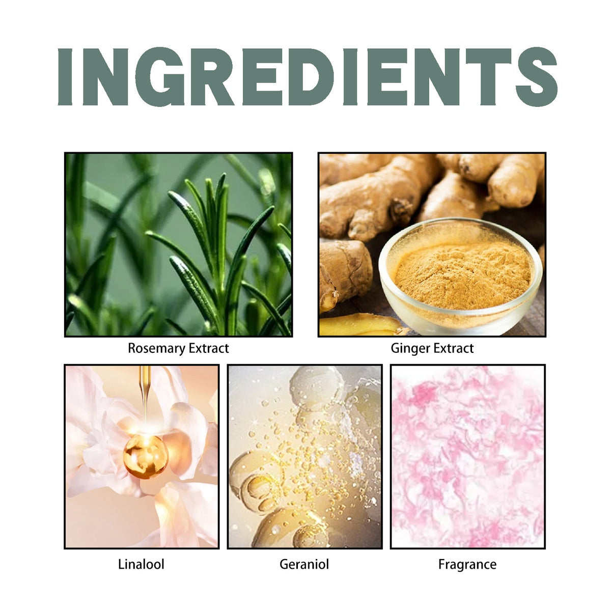 Rosemary Ginger Perfume for Portable Everyday Wear