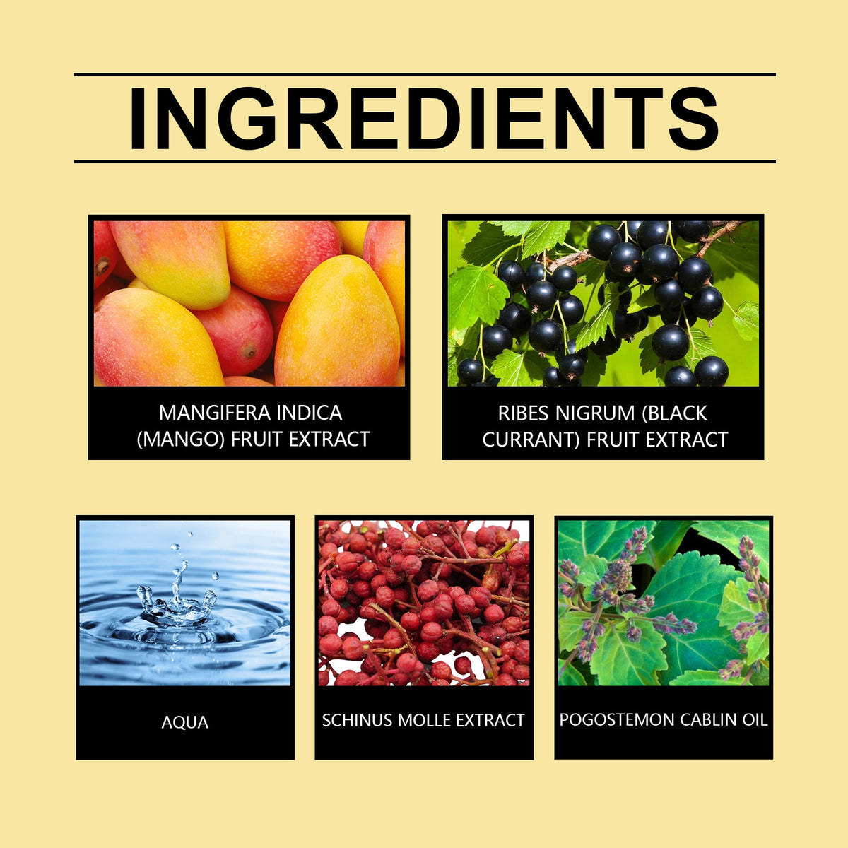 Mango Perfume Spray – Fresh Fruity Everyday Fragrance