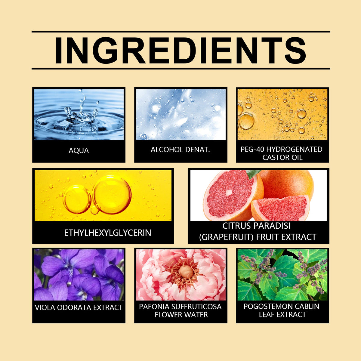 Women's Fragrance Perfume – Fresh, Long-Lasting Scent