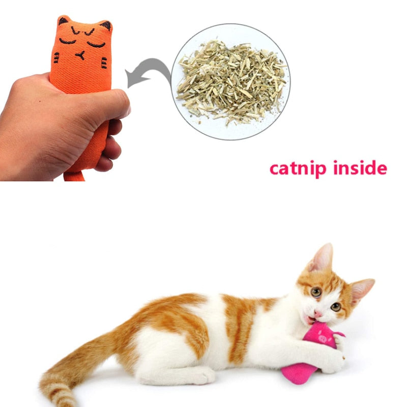Catnip Plush Cat Toy for Indoor Play & Enrichment
