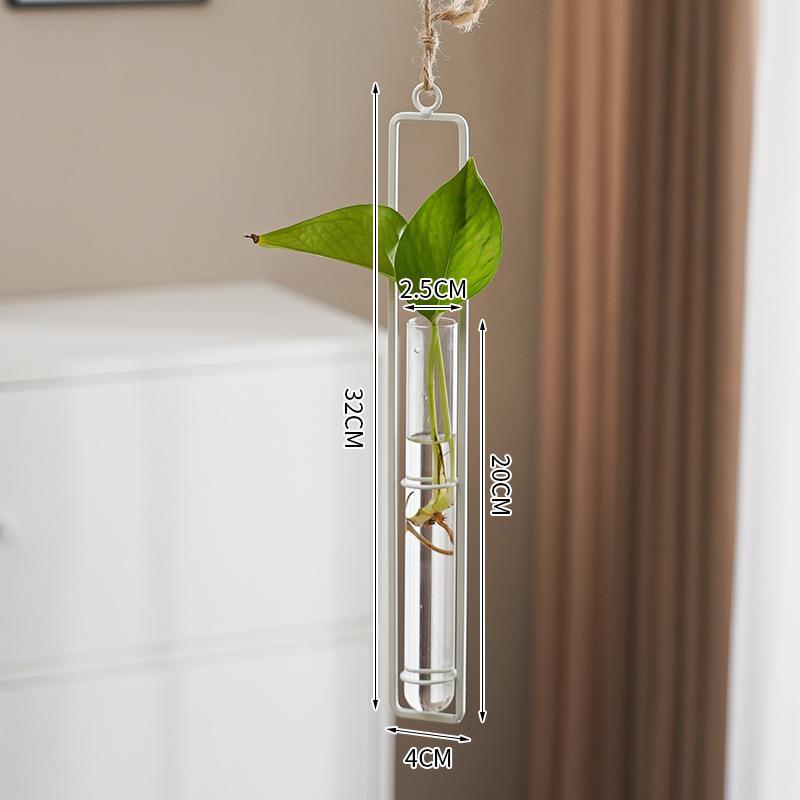 Glass Hydroponic Vase for Stylish Wall Plant Display