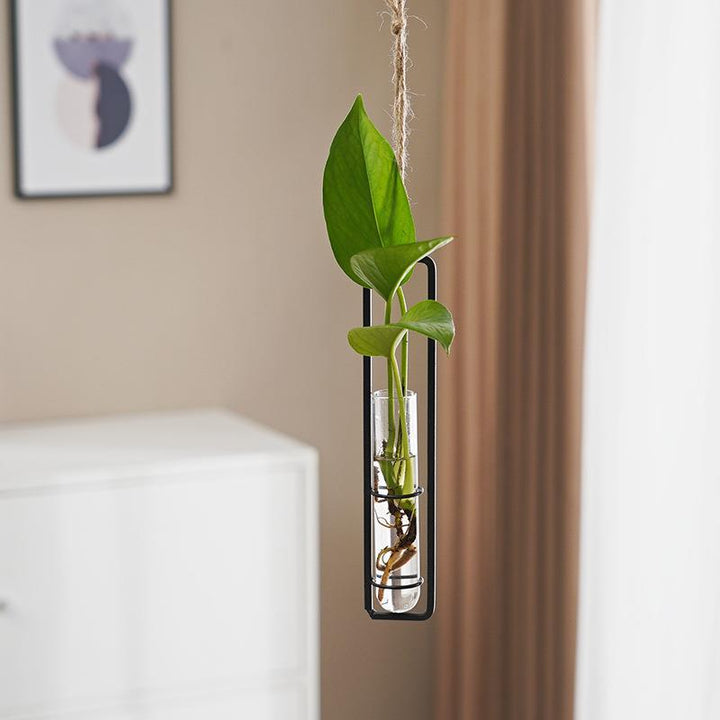Glass Hydroponic Vase for Stylish Wall Plant Display