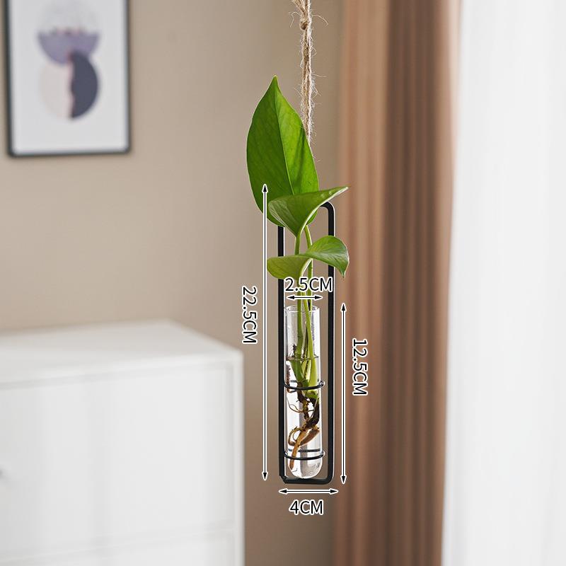 Glass Hydroponic Vase for Stylish Wall Plant Display