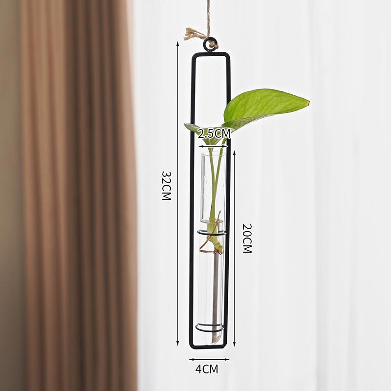 Glass Hydroponic Vase for Stylish Wall Plant Display