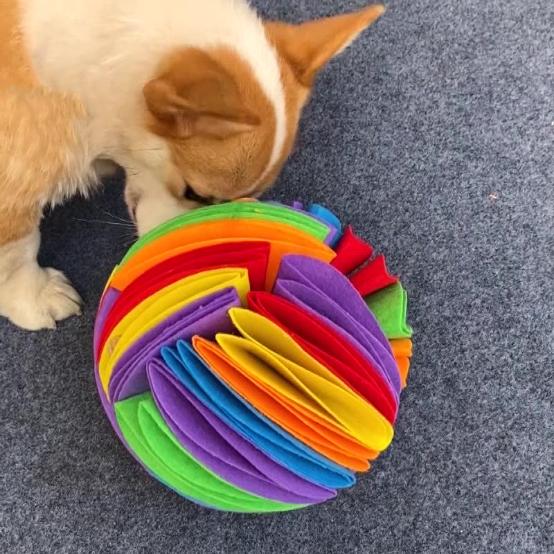 Sniff Ball Dog Toy – Enrichment Treat Search Game