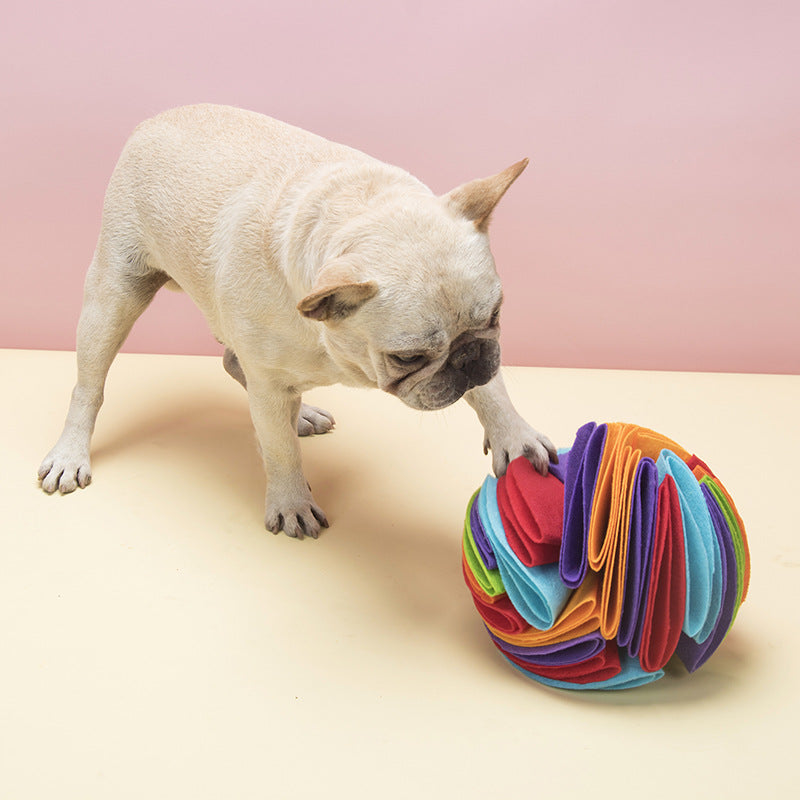 Sniff Ball Dog Toy – Enrichment Treat Search Game