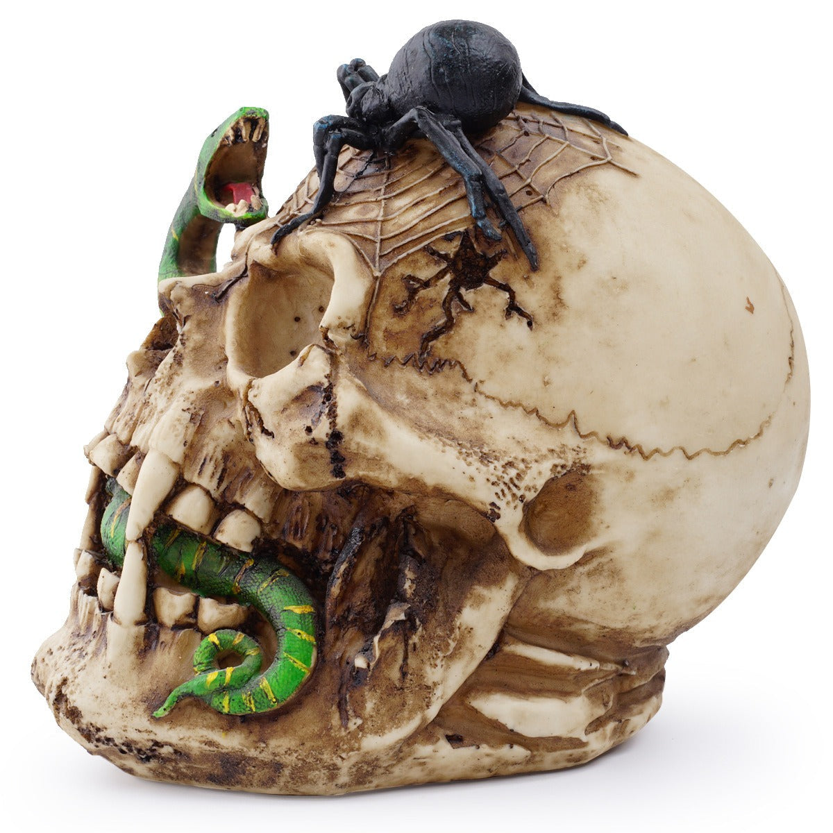 Skeleton Skull Snake Ornament | Gothic Decor Centerpiece