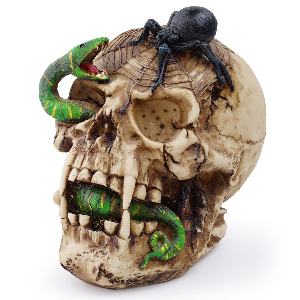 Skeleton Skull Snake Ornament | Gothic Decor Centerpiece