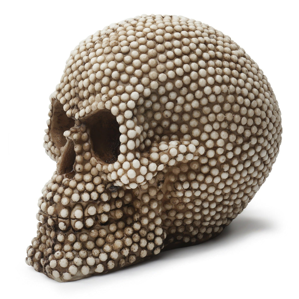 Textured Skull Ornament for Dramatic Gothic Decor