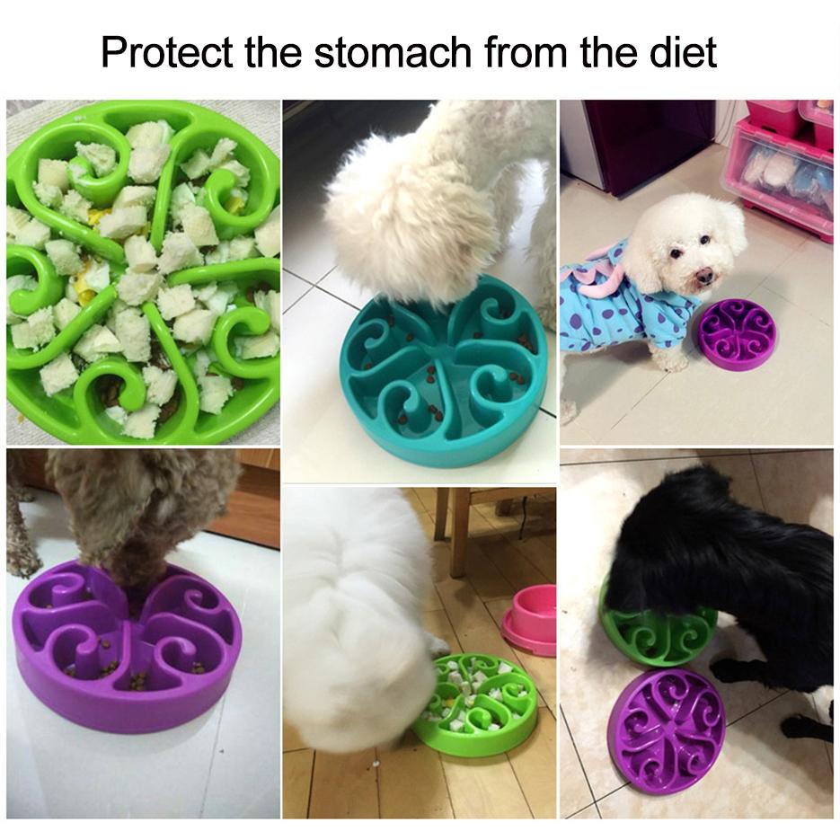 Slow Feed Dog Bowl with Maze Ridges for Fast Eaters